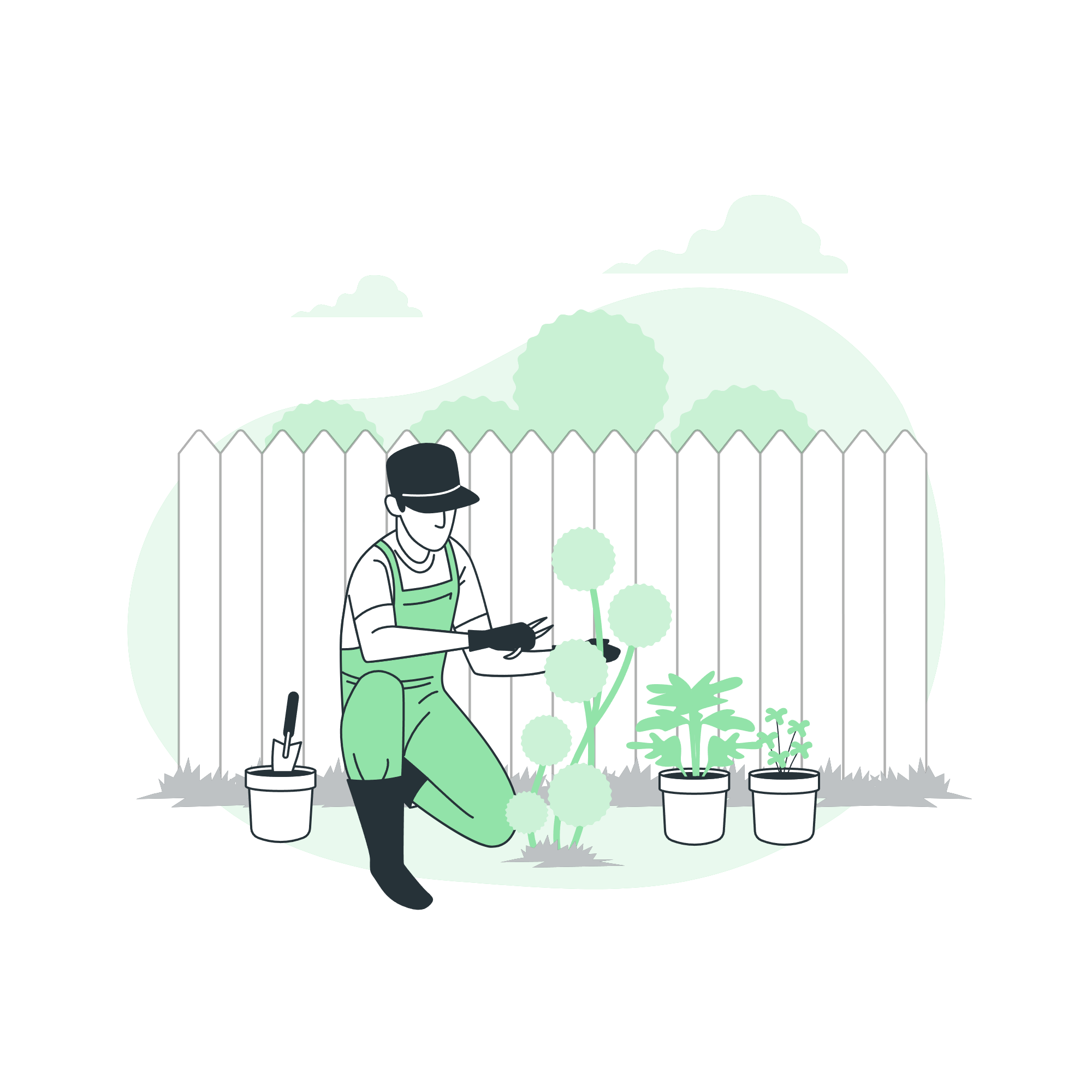 services